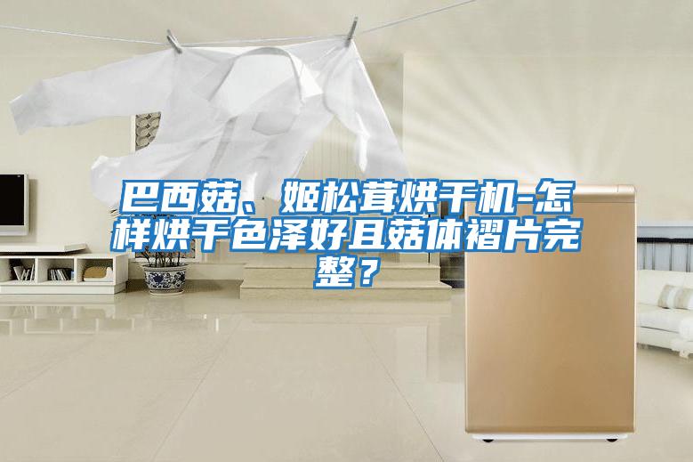 巴西菇、姬松茸烘干機-怎樣烘干色澤好且菇體褶片完整？