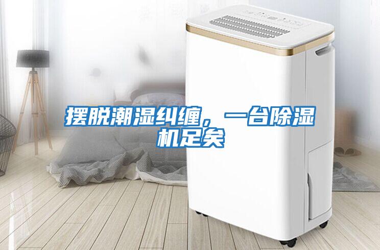 擺脫潮濕糾纏，一臺除濕機足矣