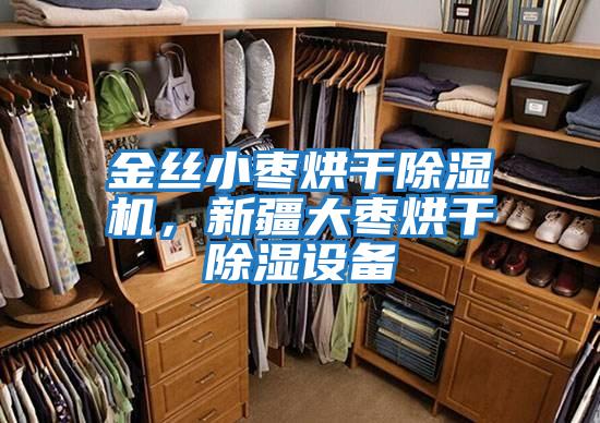 金絲小棗烘干除濕機，新疆大棗烘干除濕設備