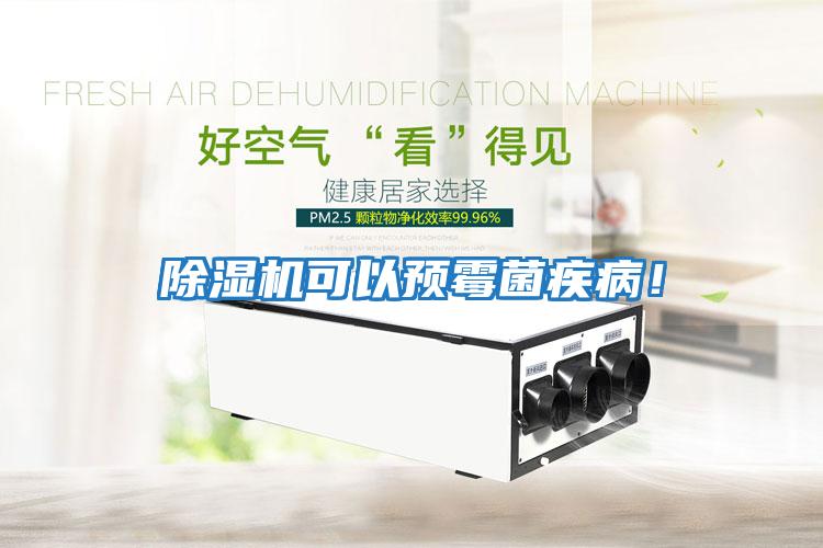 除濕機可以預霉菌疾病！