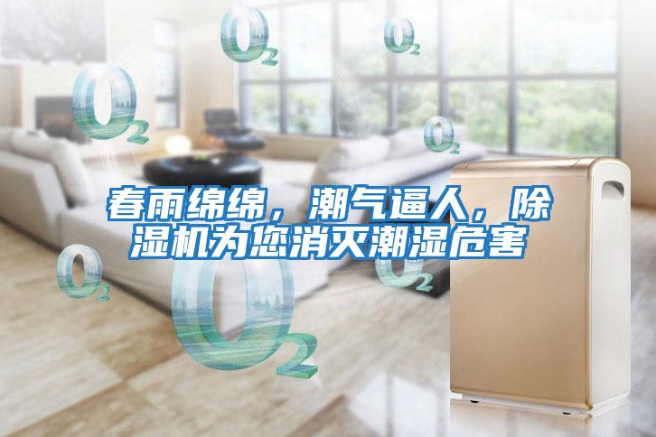 春雨綿綿，潮氣逼人，除濕機(jī)為您消滅潮濕危害