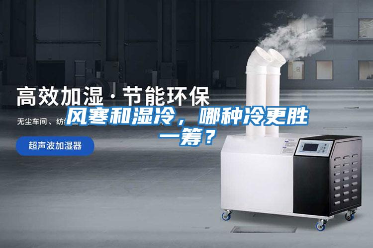 風(fēng)寒和濕冷，哪種冷更勝一籌？