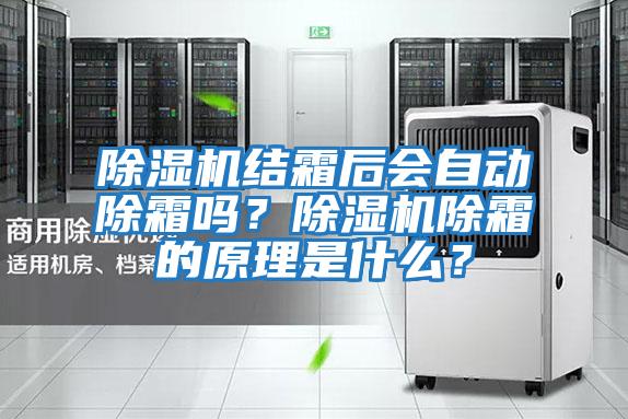 除濕機結霜后會自動除霜嗎？除濕機除霜的原理是什么？