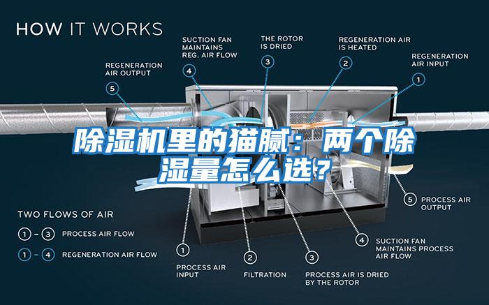 除濕機(jī)里的貓膩：兩個除濕量怎么選？
