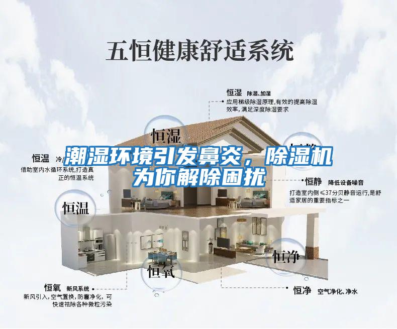 潮濕環(huán)境引發(fā)鼻炎,除濕機為你解除困擾