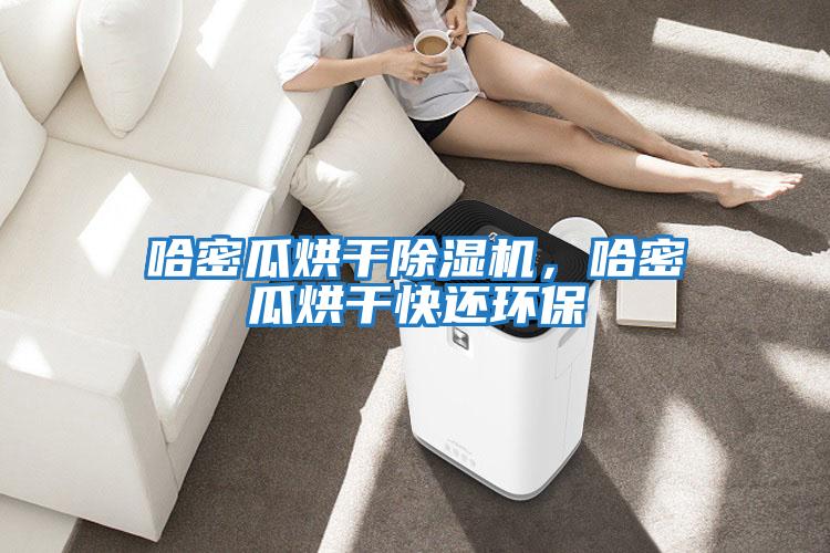 哈密瓜烘干除濕機，哈密瓜烘干快還環(huán)保