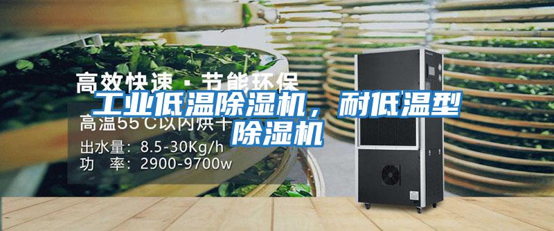 工業(yè)低溫除濕機，耐低溫型除濕機