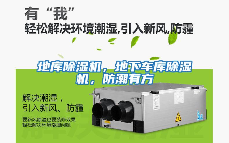 地庫(kù)除濕機(jī)，地下車(chē)庫(kù)除濕機(jī)，防潮有方