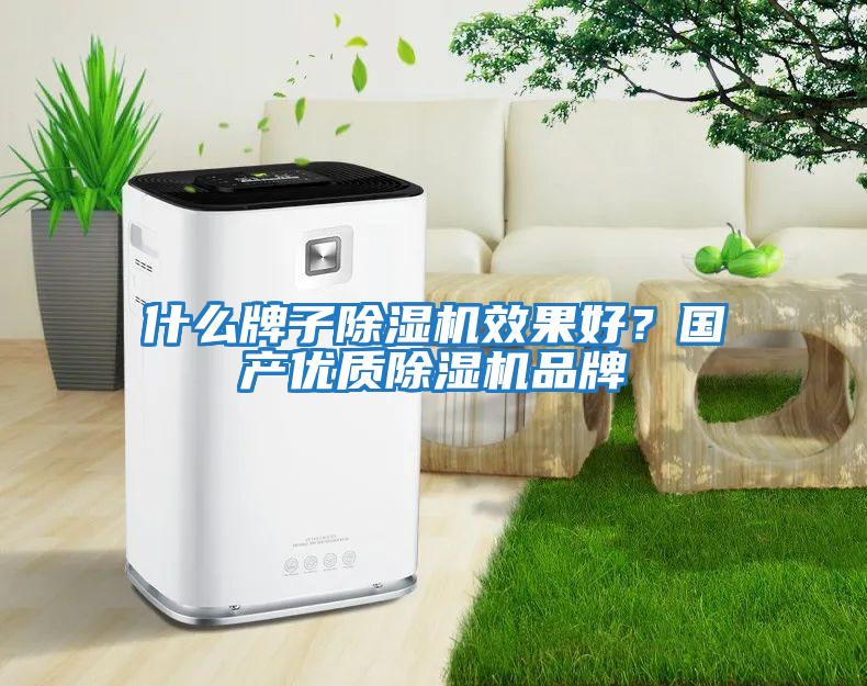 什么牌子除濕機效果好？國產優質除濕機品牌