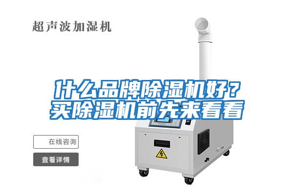 什么品牌除濕機好？買除濕機前先來看看