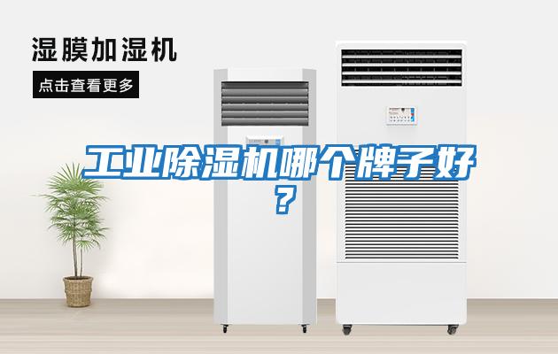 工業除濕機哪個牌子好？