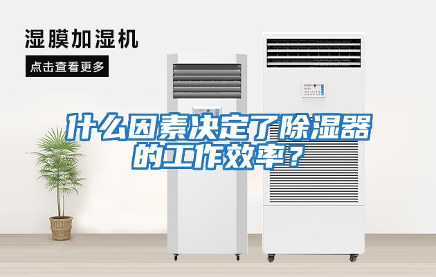 什么因素決定了除濕器的工作效率？