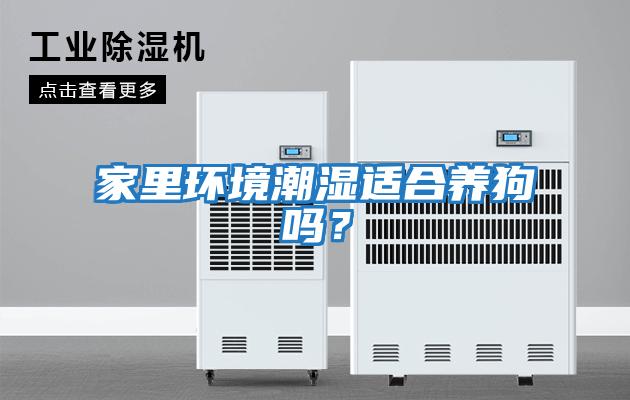 家里環境潮濕適合養狗嗎？