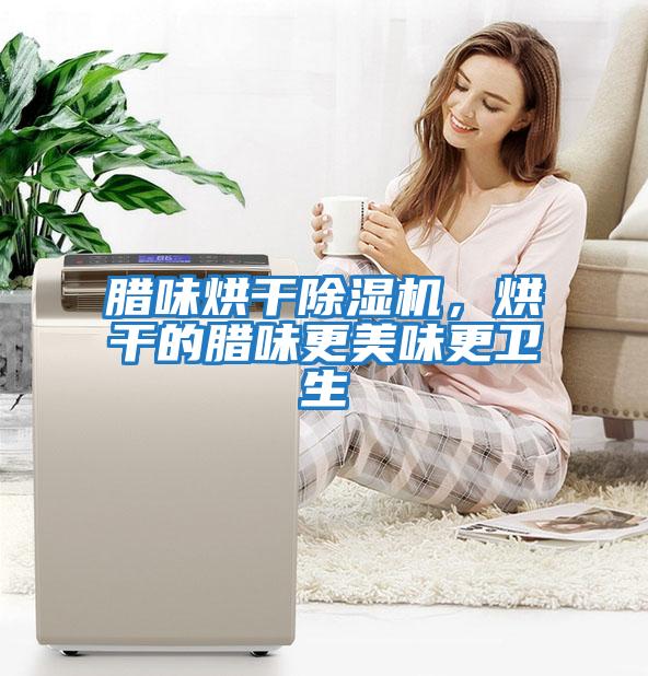 臘味烘干除濕機(jī)，烘干的臘味更美味更衛(wèi)生