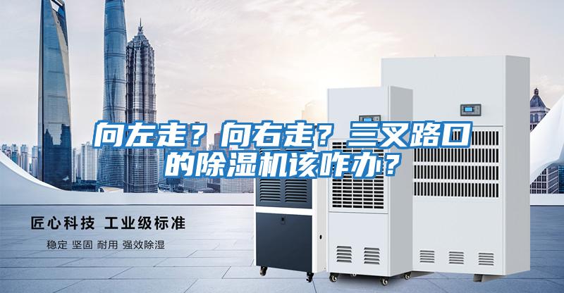 向左走？向右走？三叉路口的除濕機該咋辦？