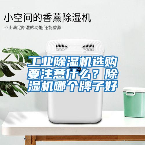工業除濕機選購要注意什么？除濕機哪個牌子好