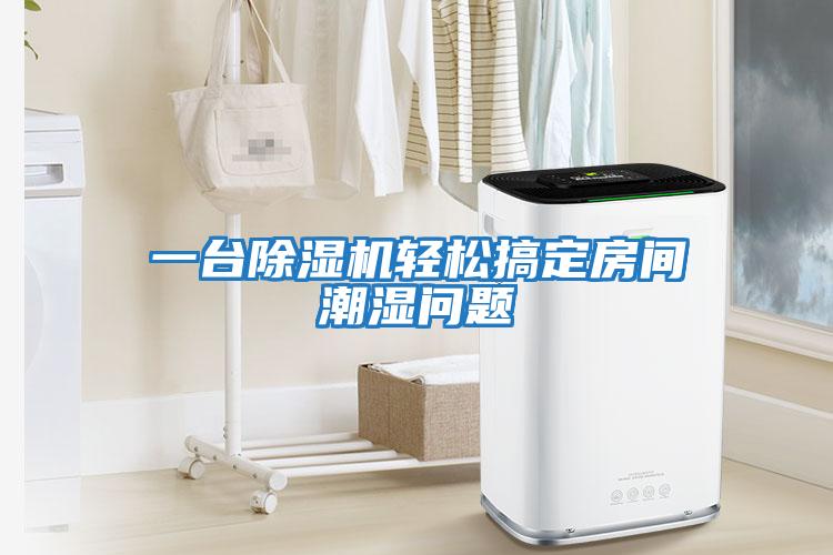 一臺(tái)除濕機(jī)輕松搞定房間潮濕問題