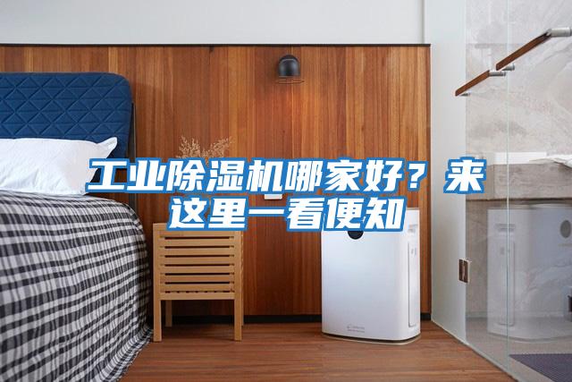 工業(yè)除濕機哪家好？來這里一看便知