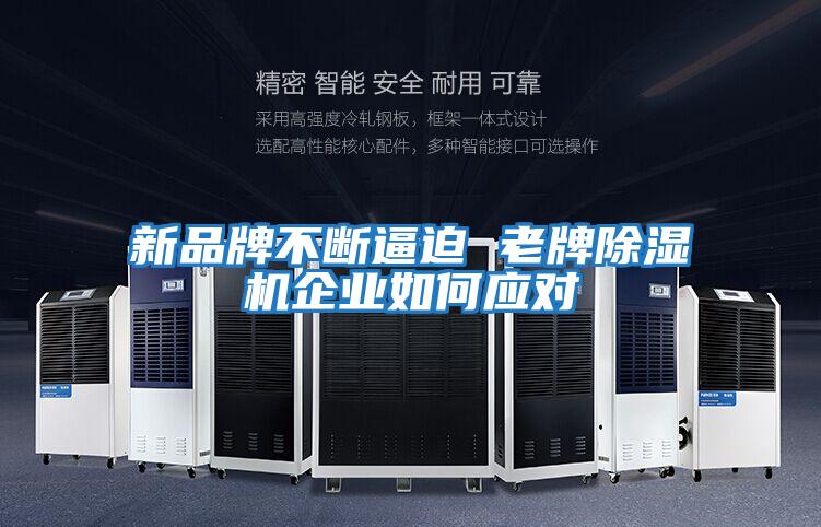 新品牌不斷逼迫 老牌除濕機企業如何應對