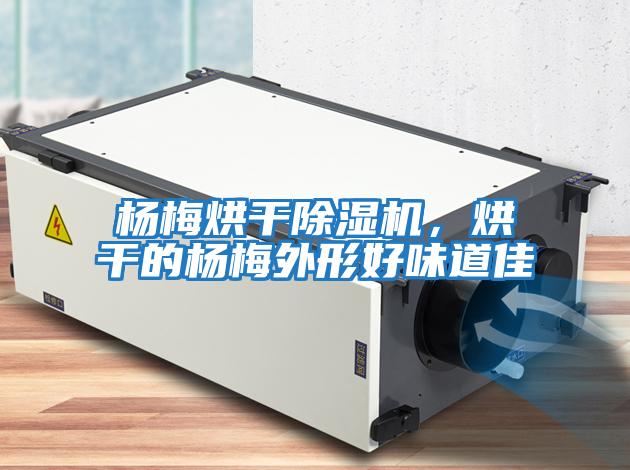 楊梅烘干除濕機(jī)，烘干的楊梅外形好味道佳