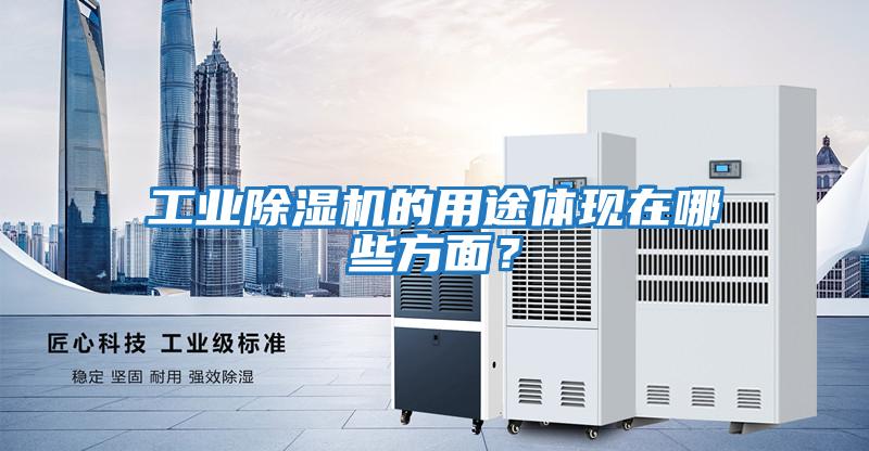 工業除濕機的用途體現在哪些方面？