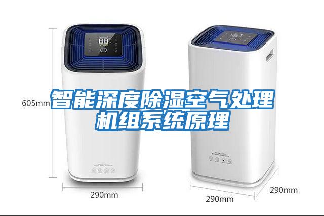 智能深度除濕空氣處理機組系統(tǒng)原理
