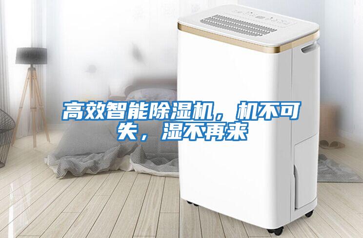 高效智能除濕機(jī)，機(jī)不可失，濕不再來