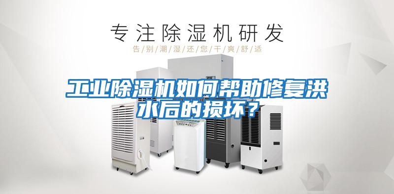 工業(yè)除濕機如何幫助修復洪水后的損壞？