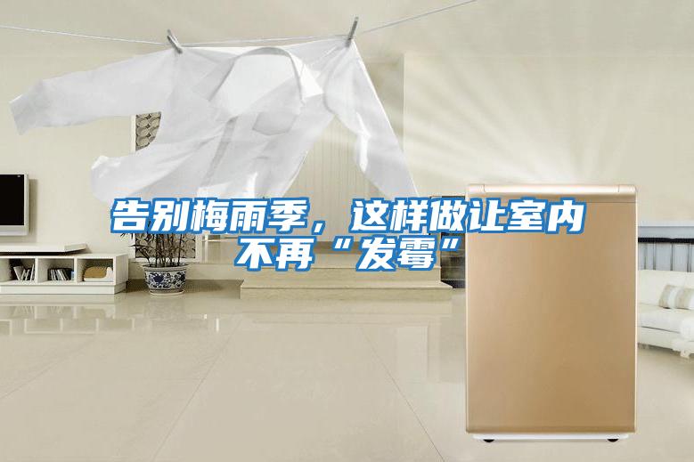 告別梅雨季，這樣做讓室內不再“發霉”