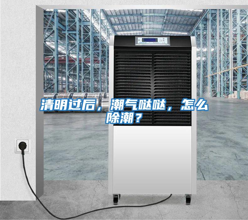 清明過(guò)后，潮氣噠噠，怎么除潮？