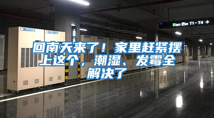 回南天來(lái)了！家里趕緊擺上這個(gè)，潮濕、發(fā)霉全解決了