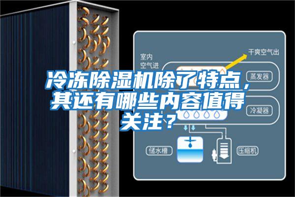 冷凍除濕機除了特點，其還有哪些內容值得關注？