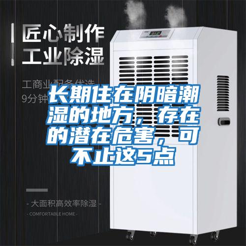 長期住在陰暗潮濕的地方，存在的潛在危害，可不止這5點