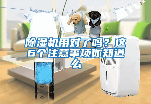 除濕機(jī)用對了嗎？這6個(gè)注意事項(xiàng)你知道么