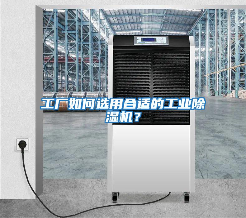 工廠如何選用合適的工業除濕機？
