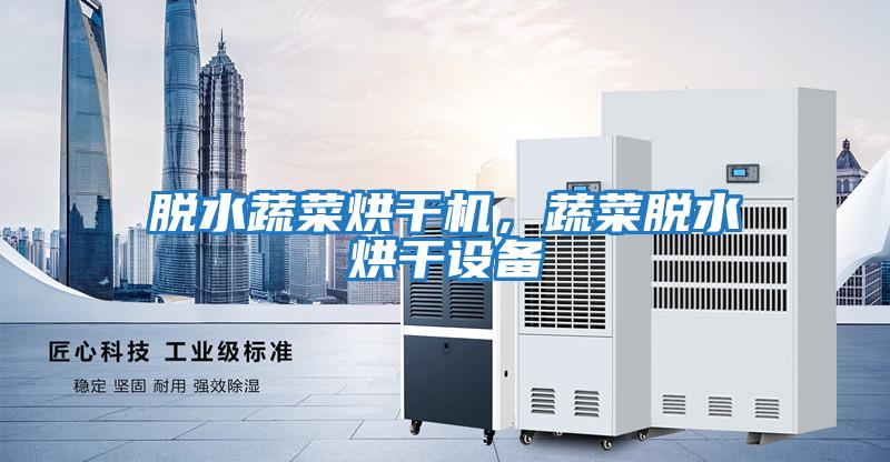 脫水蔬菜烘干機，蔬菜脫水烘干設備