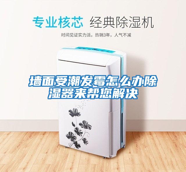 墻面受潮發霉怎么辦除濕器來幫您解決