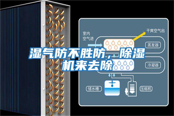 濕氣防不勝防，除濕機來去除