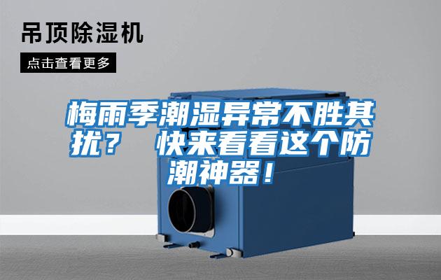 梅雨季潮濕異常不勝其擾？ 快來看看這個防潮神器！
