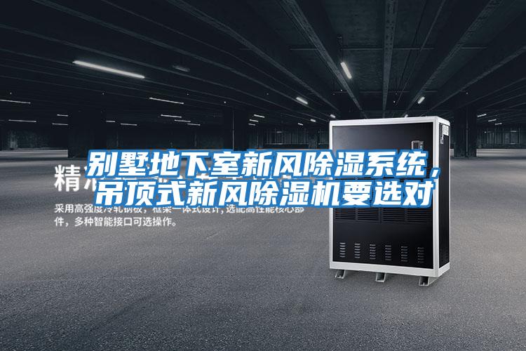別墅地下室新風除濕系統(tǒng)，吊頂式新風除濕機要選對