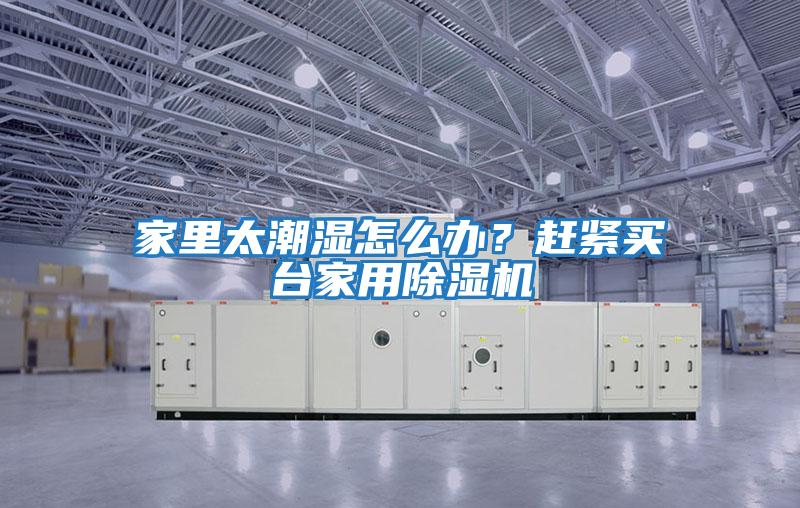 家里太潮濕怎么辦？趕緊買臺家用除濕機