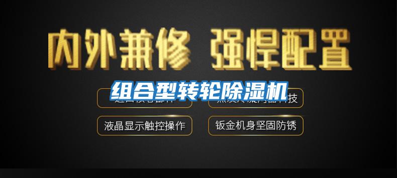 組合型轉(zhuǎn)輪除濕機