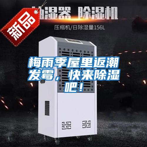 梅雨季屋里返潮發(fā)霉，快來(lái)除濕吧！