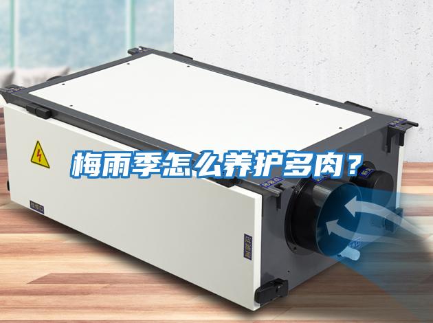 梅雨季怎么養(yǎng)護(hù)多肉?