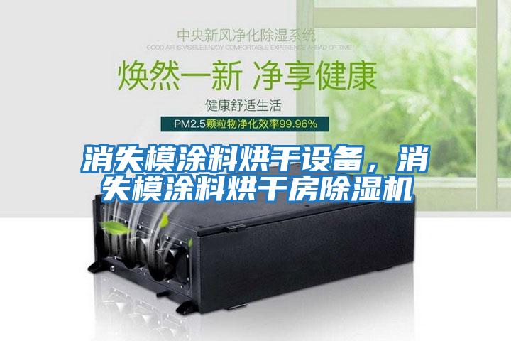 消失模涂料烘干設(shè)備，消失模涂料烘干房除濕機