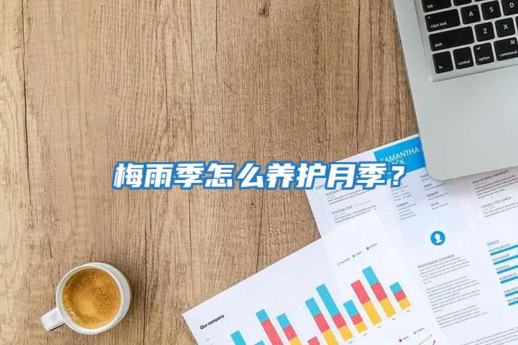 梅雨季怎么養護月季？