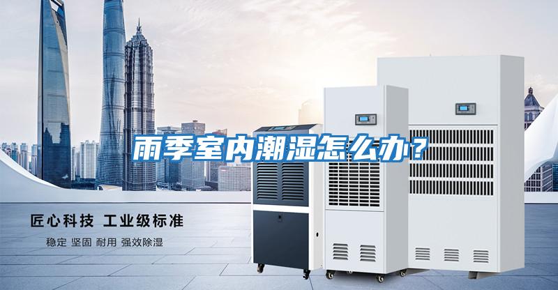 雨季室內潮濕怎么辦？