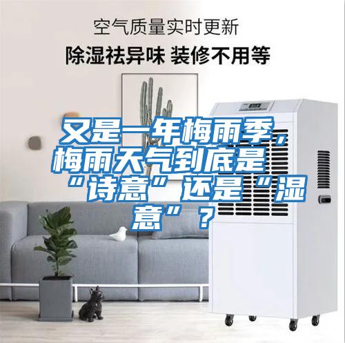 又是一年梅雨季，梅雨天氣到底是“詩意”還是“濕意”？