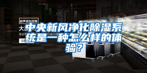 中央新風(fēng)凈化除濕系統(tǒng)是一種怎么樣的體驗？