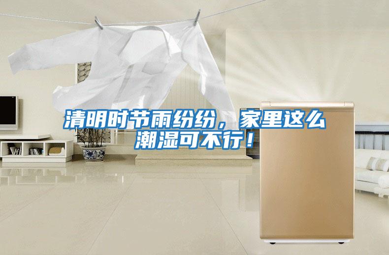 清明時(shí)節(jié)雨紛紛，家里這么潮濕可不行！